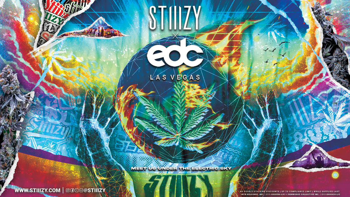 EDC Vegas Guide & First Timer Tips STIIIZY 2024