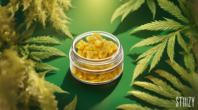 THCa Live Resin Explained: Benefits and Uses