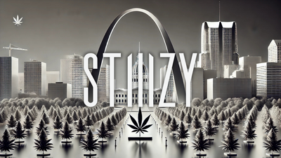 STIIIZY x Greenway Magazine: The Ultimate Cannabis Showdown! 🏆