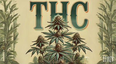 What is THC? Everything You Need to Know