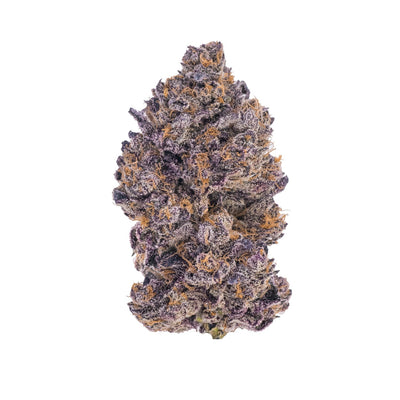 Black Truffle Strain: Earthy Delight