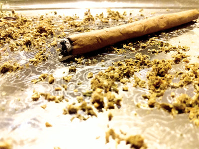 JOINTS, BLUNTS AND PRE-ROLLS: THE PROS AND CONS