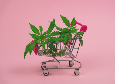 WHAT CANNABIS PRODUCTS ARE RIGHT FOR YOU?