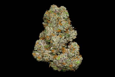 THE GIRL SCOUT COOKIES STRAIN: A LEGENDARY CANNABIS CULTIVAR