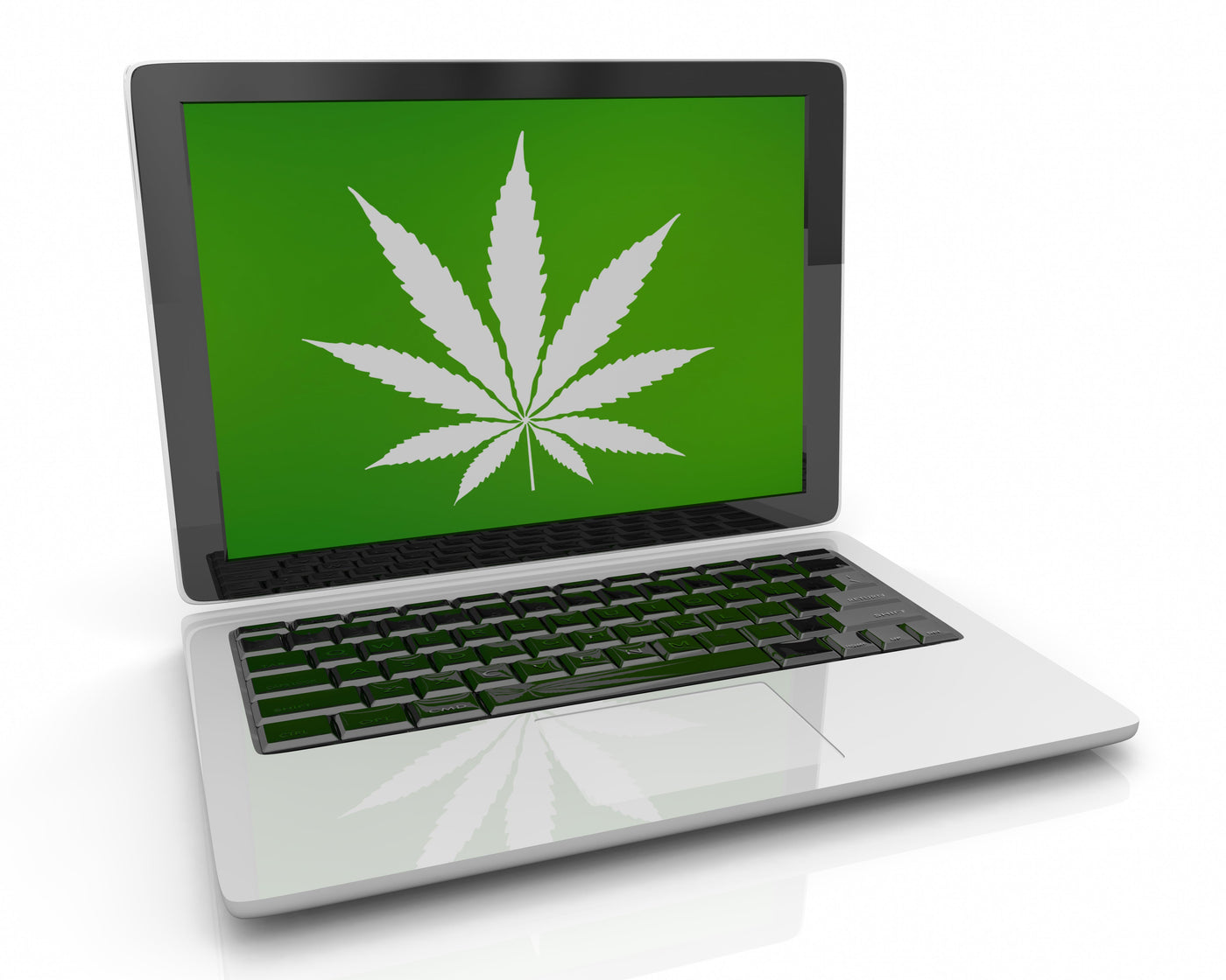 How to Buy Weed Online - A Comprehensive Guide | STIIIZY