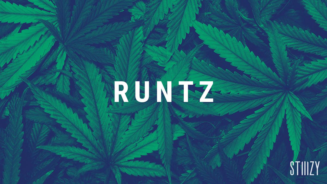 Runtz Strain Guide: The Sweet High – STIIIZY