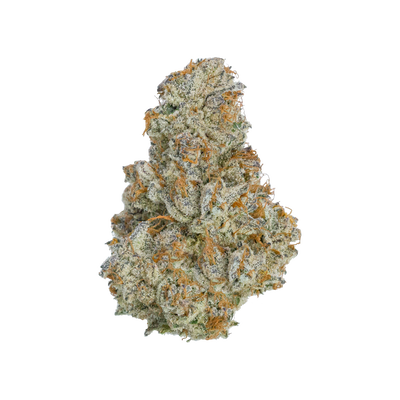 The Sunset Sherbert Strain's Everlasting Gusto