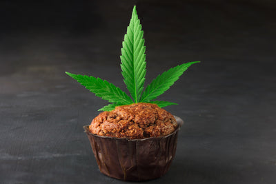 GENERAL TIPS FOR CONSUMING WEED EDIBLES