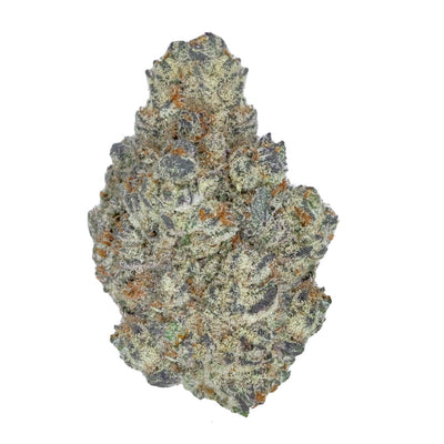 THE WHITE DURBAN STRAIN: A FAN FAVORITE