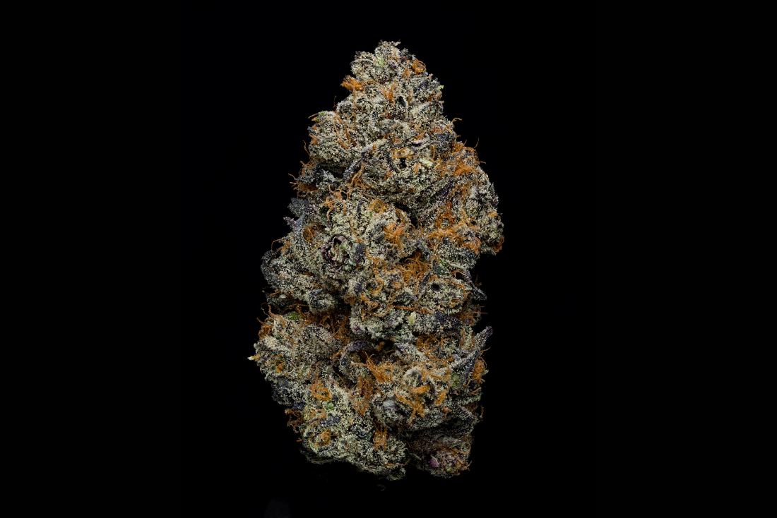 white-truffle-strain-cannabis-flower-nug_1100x.png?v=1678472470