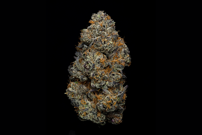 White Truffle Strain: Luxurious Flavor